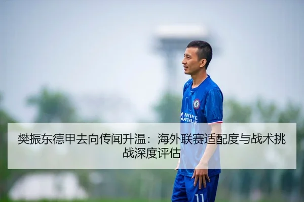 樊振东德甲去向传闻升温：海外联赛适配度与战术挑战深度评估