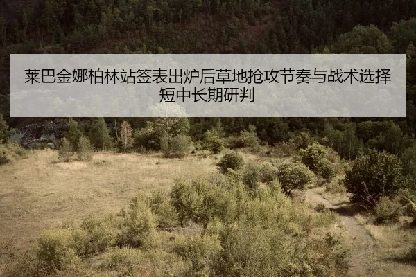 lai-ba-jin-na-bo-lin-zhan-qian-biao-chu-lu-hou-cao-di-qiang-gong-jie-zou-yu-zhan-shu-xuan-ze-duan-zhong-chang-qi-yan-pan-2-740.jpg